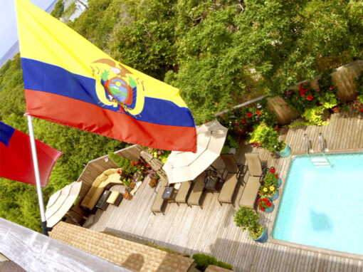 Pool Deck View