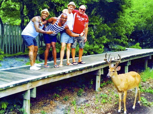Men, look a Deer!