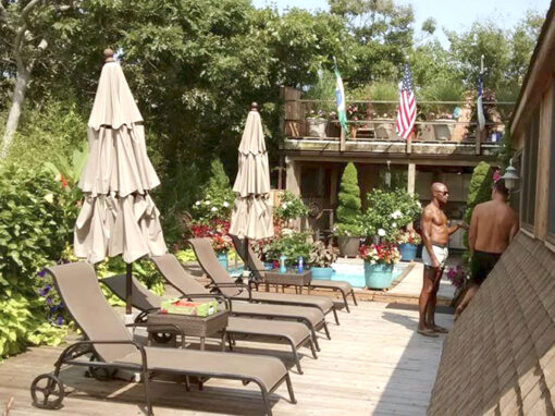 Lounge Chairs