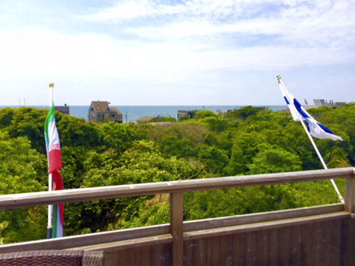 Looking South
