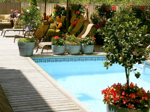 Poolside Peaceful
